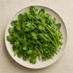 coriander leaves and tender stems (daun dan batang muda ketumbar), 20 g, roughly chopped, optional for One-Pot Chicken Curry