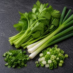 Chinese celery or spring onion (seledri atau daun bawang), 1 handful for Bakso