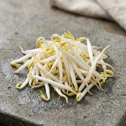 bean sprouts (tauge), 2 cups for Gado-Gado