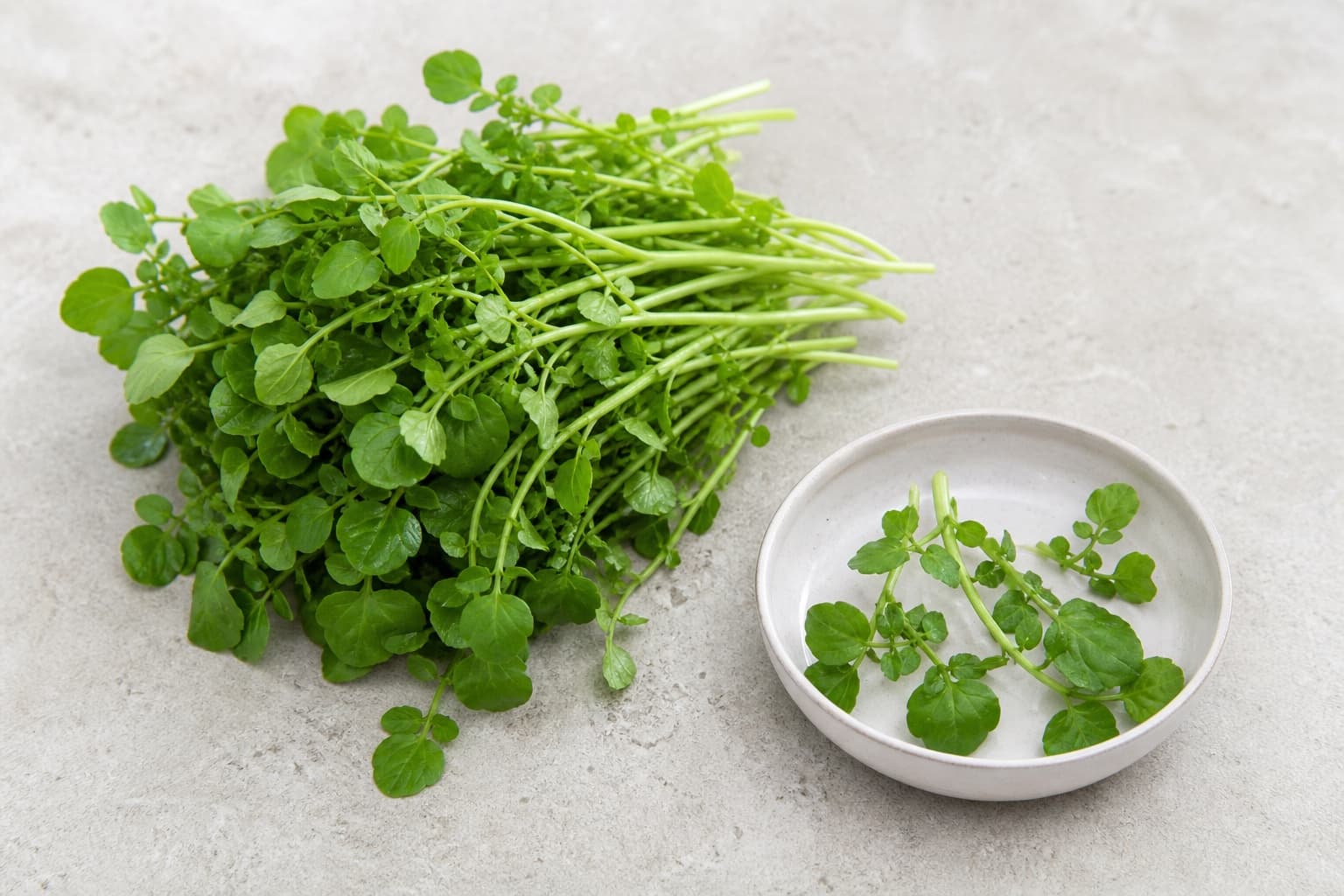 baby watercress (selada air muda) for Bistro Steak & Eggs with Shallot Jus