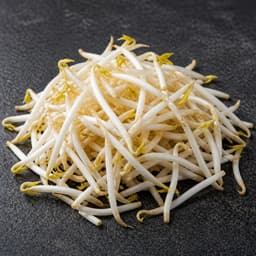 bean sprouts (tauge), 2 cups for Laksa Lemak