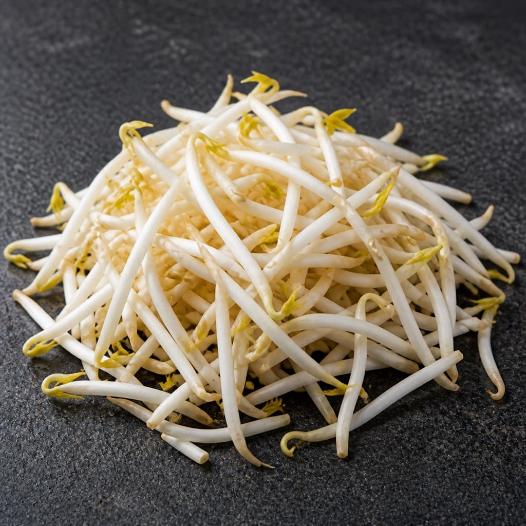 bean sprouts (tauge) for Laksa Lemak