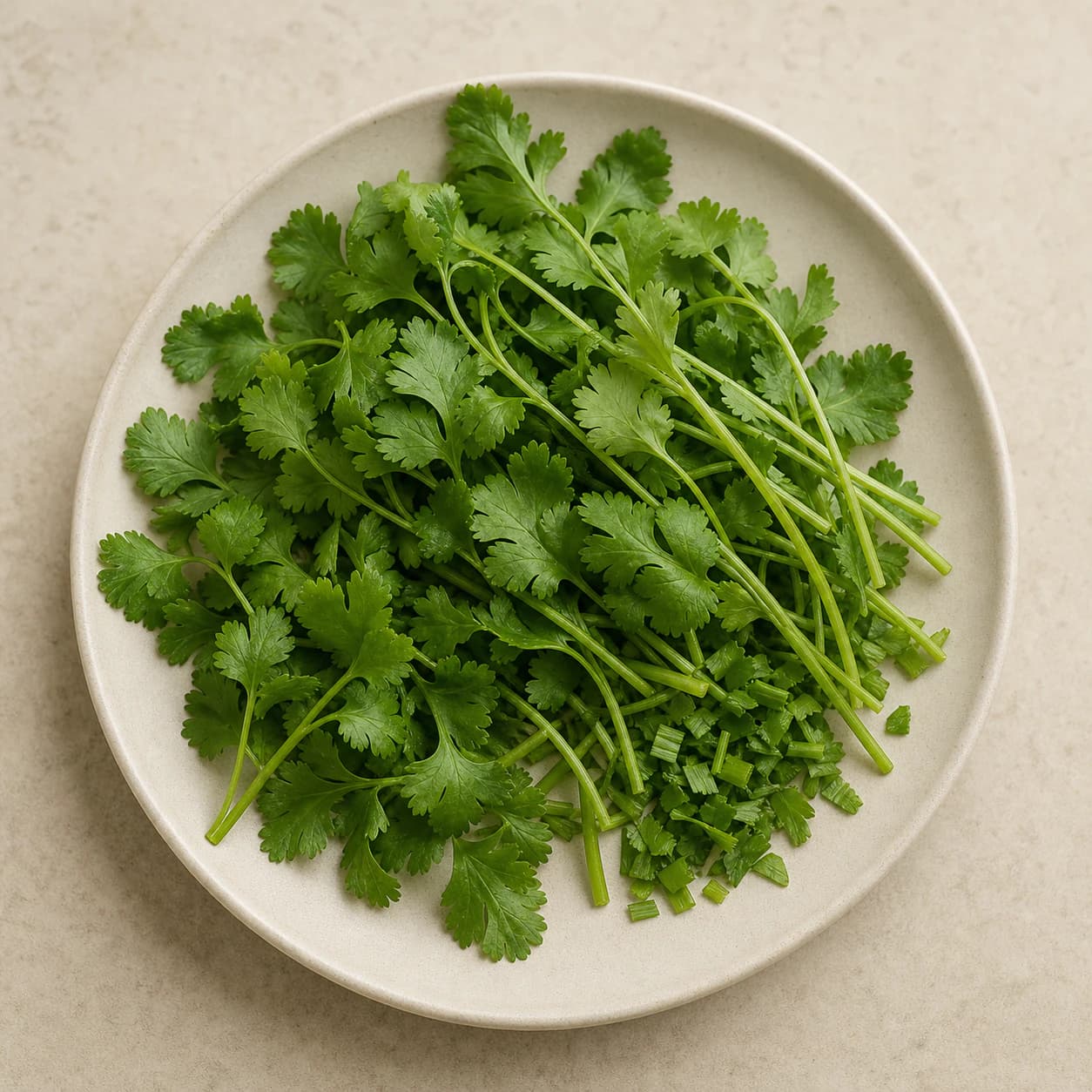coriander leaves and tender stems (daun dan batang muda ketumbar) for One-Pot Chicken Curry