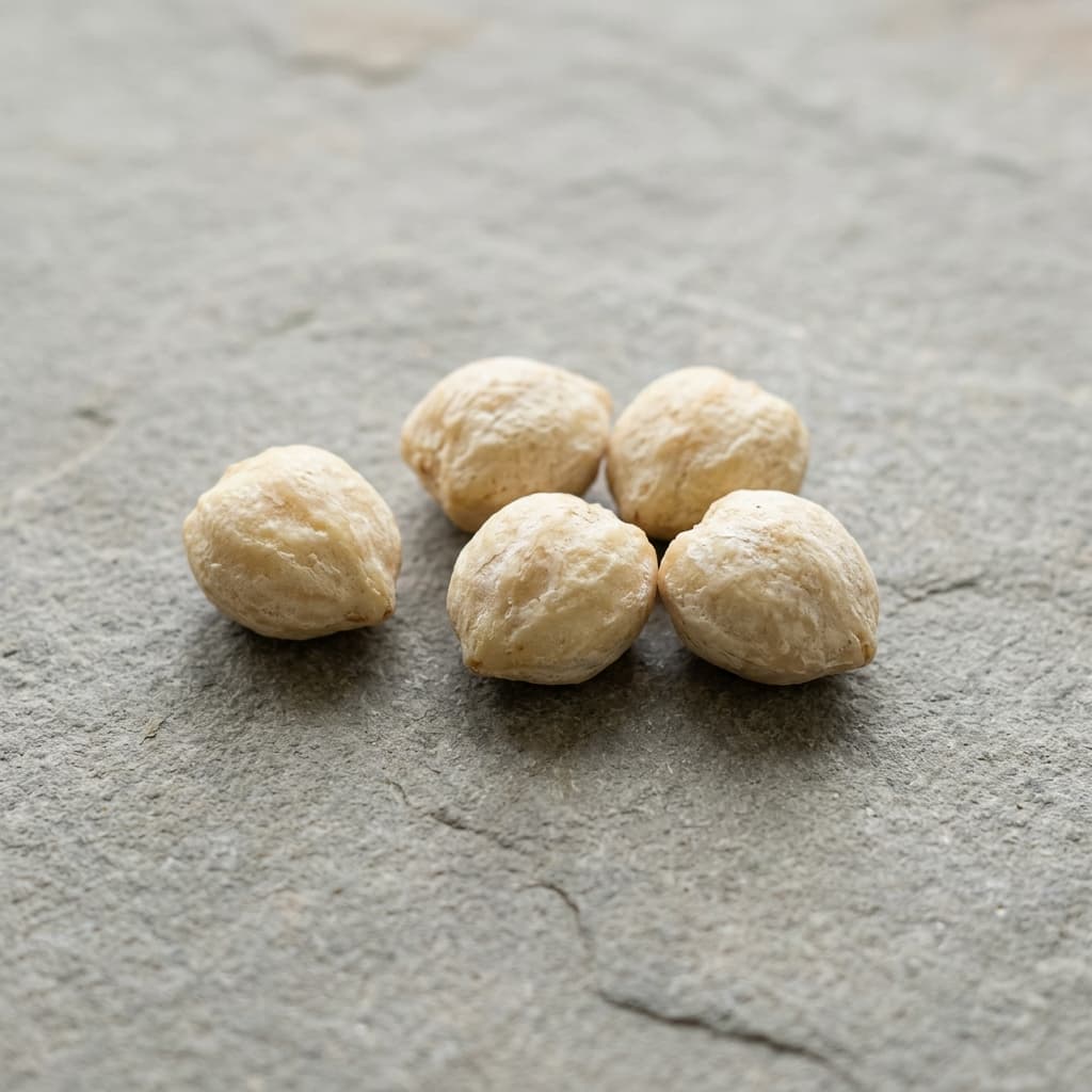 roasted candlenuts (kemiri sangrai) for Penang Nyonya Kari Kapitan