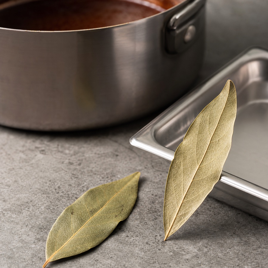 Bay leaf
